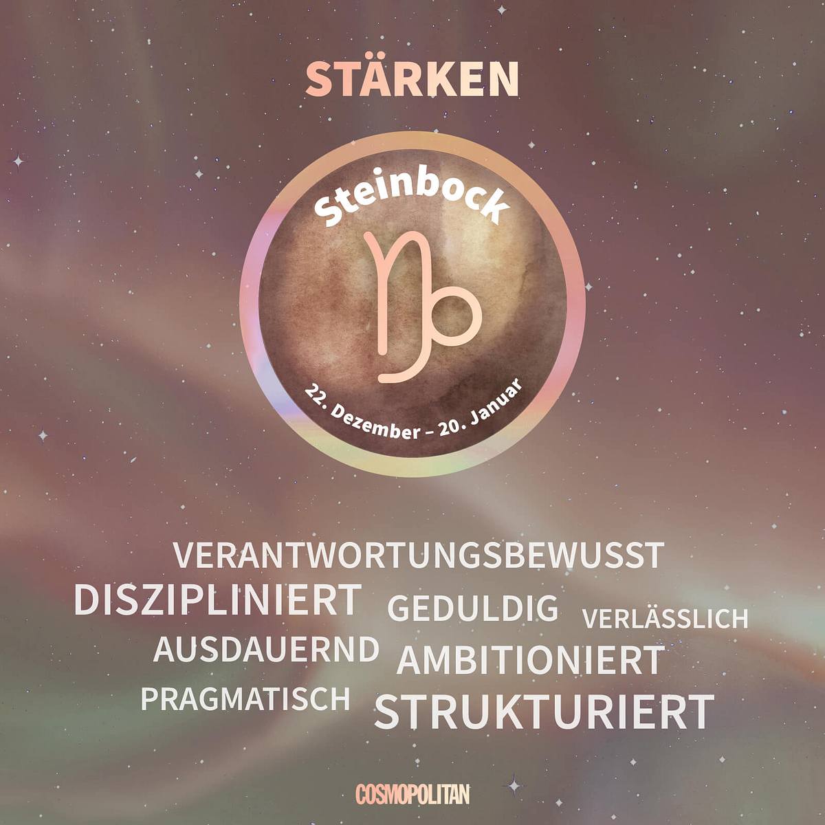 Die Stärken des Steinbock Sternzeichens Die Stärken des Steinbock Sternzeichens